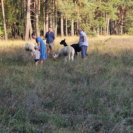 Ferienpark-Canow Eksteriør bilde