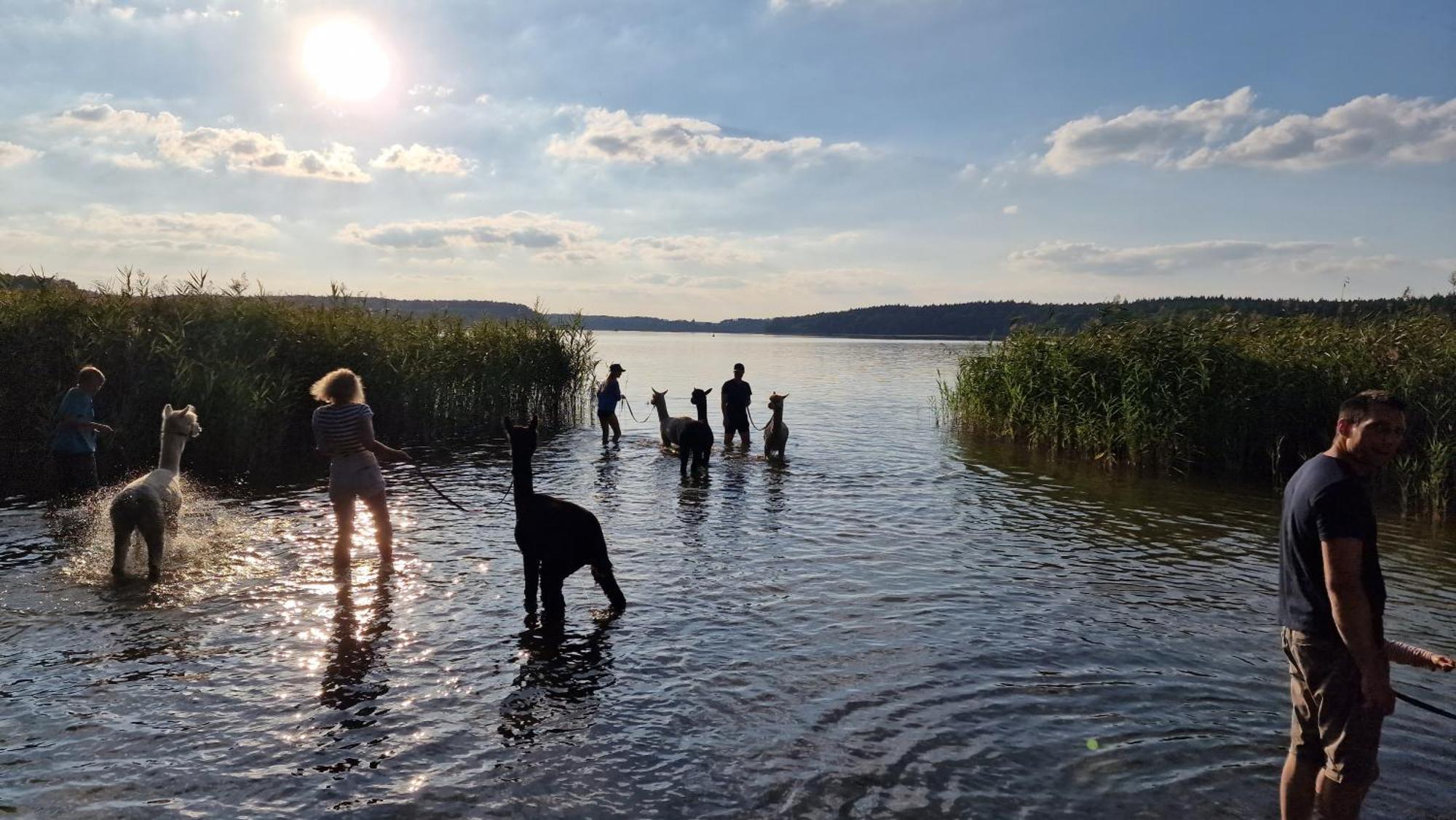 Ferienpark-Canow Eksteriør bilde